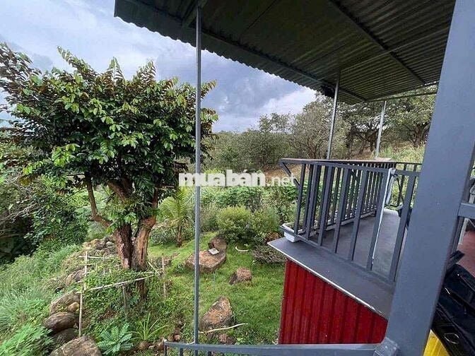 Bán . Nhà vườn ở Đồng Tiến - Đồng phú Có 5m mặt tiền đường bê tôn