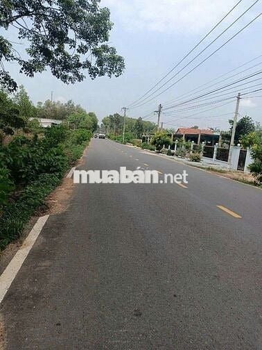 Chủ thở ô xi bán gấp miếng đất tặng nhà