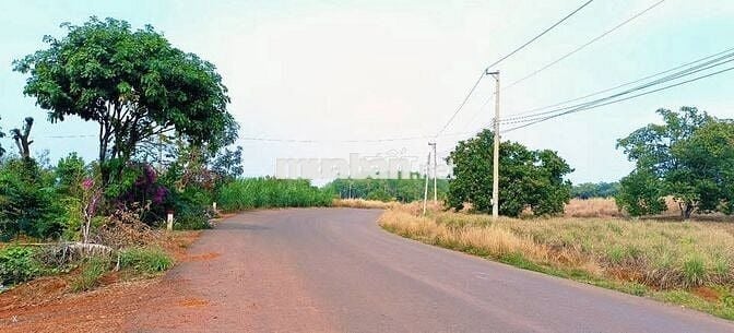 Tròn 1ha cách Khu CN Bắc Đồng Phú 700m, điện 3pha - có tách nhỏ bán