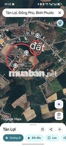 Đất ngộp bán gấp lô đất 400m2(12*32) 200m2 TC giá 550tr tại Đồng Phú