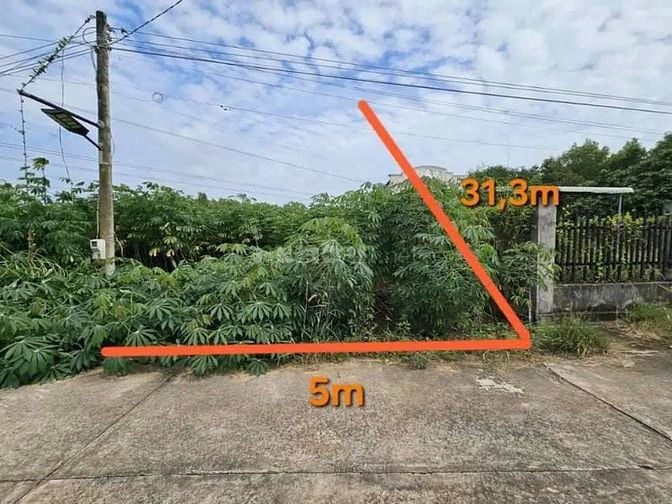 Công ty Đấu giá hợp danh Lam Sơn Sài Gòn THÔNG BÁO ĐẤU GIÁ TÀI SẢN