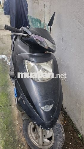 attila victoria 2008