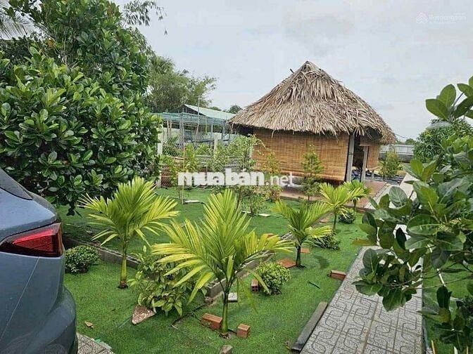 Đất vườn 1200m2 ngay trung tâm Gò Dầu, SHR, dân cư đông đúc, giá 1 tỷ