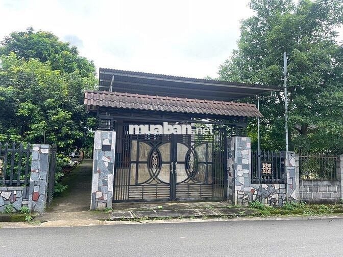 Nhà vườn Bảo Lộc hẻm nhựa 2 oto lữ Gia DT:480m2 (12x40m) - Thổ cư 200m