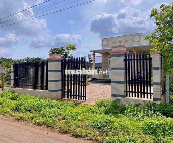 nhà vườn giá rẻ 310triệu bán gấp