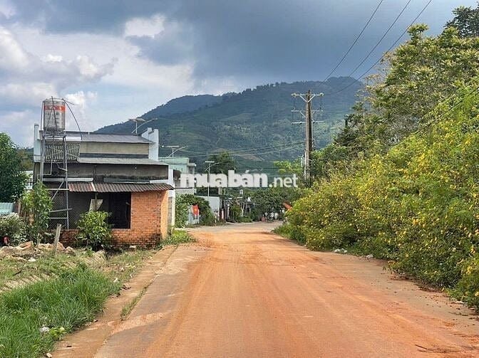 Đất mặt tiền Triệu Quang Phục 10x43m - thổ cư 100m view núi đường lớn