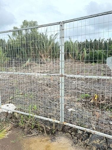 Cần bán 377m2 đất cây lâu năm đường liên ấp 2-3, Hiệp Phước, Nhà Bè 