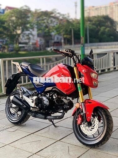 Honda MSX125 biển tp- 2023 xe lướt đẹp leng keng