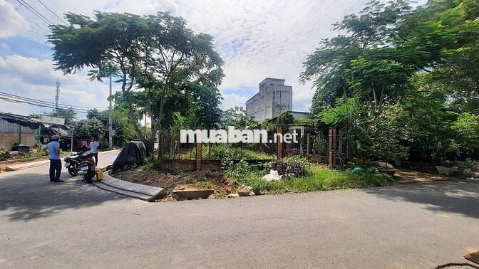 Bán đất lô góc ngã tư, xã Tam Thôn Hiệp, Cần Giờ, 116m2 full thổ cư.