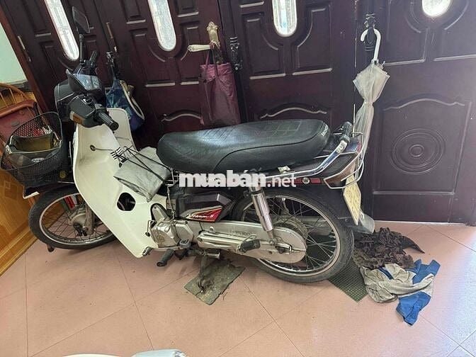 xe drem zin , đựo người già đi