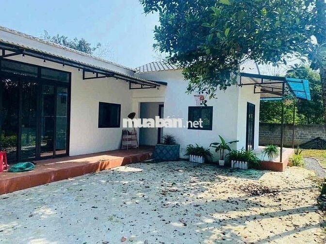 🔥 THANH LÝ GẤP LÔ ĐẤT VƯỜN GIÁ RẺ 3200M2 GIÁ 259 TRIỆU NGAY QL13🔥