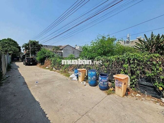 Đất Đoàn Thị Kia phường Tân Đông Hiệp Tp Dĩ An