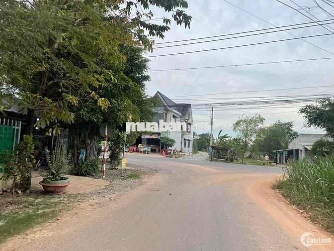 Săn Sale Săn Sale vị trí nằm ngay cổng KCN Long Khánh