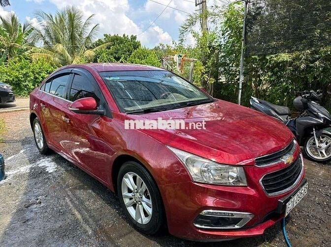 Cru lăng bánh 2018 fom dáng đẹp