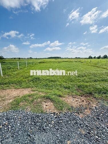 Đất 917m2 gần Uỷ ban xã Trung Lập Hạ, SHR, dân cư đông, giá 1,6 tỷ