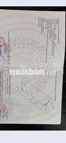 Đất tại Vĩnh Tuy, Xã Liên Nghĩa, Văn Giang, Hưng Yên, với diện tích 85