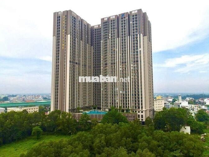 cho thuê căn hộ studio giá tốt