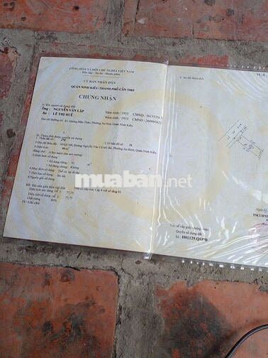 BÁN ĐẤT NỀN THỔ CƯ ĐƯỜNG TRẦN NAM PHÚ