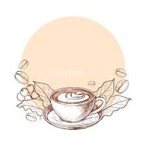 Anh cần nhân viên bán cà phê, sữa , các đổ uống khác cho khách hàng 