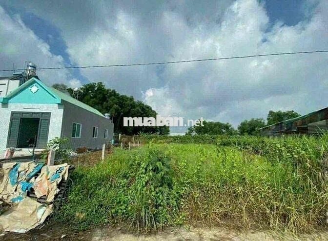 Đất Tân An TDM Bình Dương đường 4m nhánh Huỳnh Thị Hiếu.nở hậu 13,9m