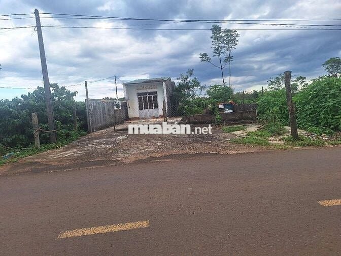 820trieu sở hữu nhà câp 4. Dt :10 x81 :50tc có nhà cấp 4