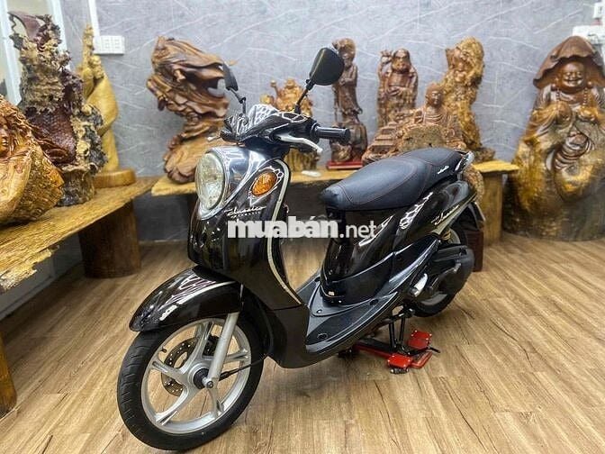 👉 Classico biển SG dàn áo cứng cáp, máy êm