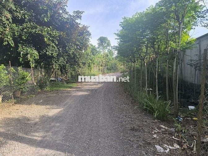 Bán đất Phú Vinh ( ấp 4, Xã Phú Tân cũ) Định Quán, Đồng Nai