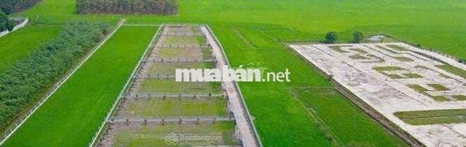 Đất vườn đẹp tại thị trấn Gò Dầu Tây Ninh 1050m2 giá 1 tỷ1