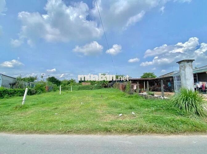 🌿 Bán đất vườn Gò Dầu – 1150m²  – Giá rẻ như cho, chỉ 920 triệu!