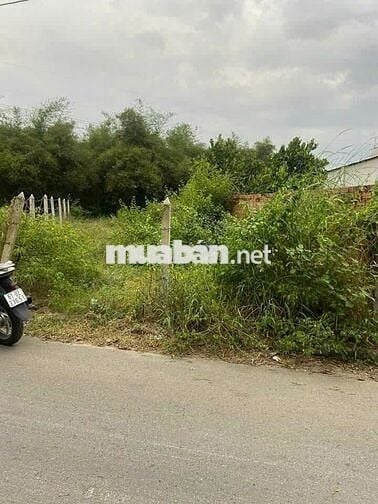 🏡 BÁN ĐẤT MẶT TIỀN ĐƯỜNG DX124