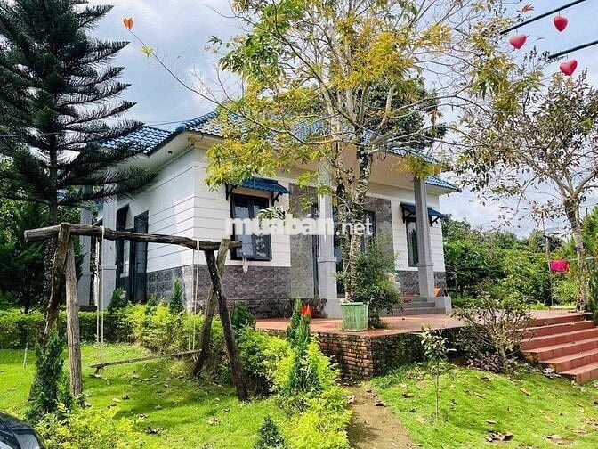 Nhà vườn nghỉ dưỡng Bảo Lộc - 1507,2m2 (37x40m) ngay gần trung tâm