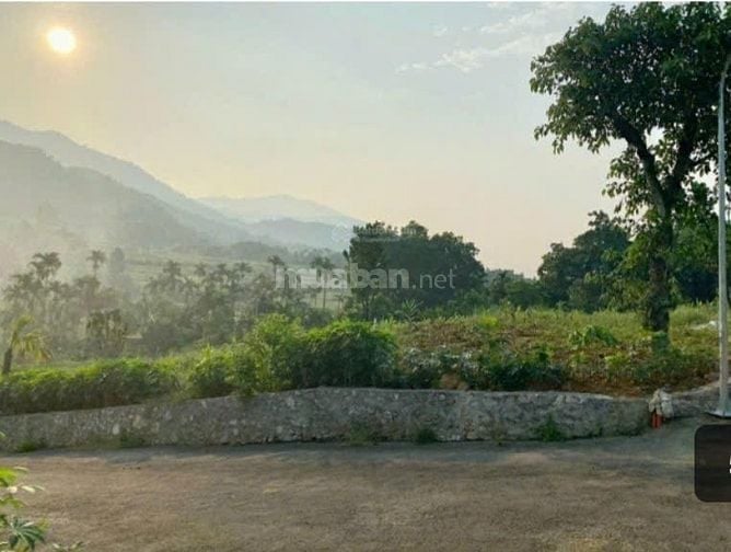 Cho thuê mặt bằng làm kho bãi để hàng hóa, nhà xưởng