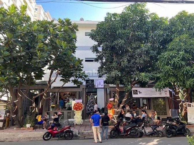 Bán biệt thự sân vườn Khu Dân Cư Lê Thành, An Lạc, Bình Tân