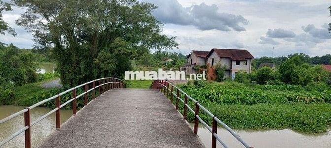 Đất CLN 6.883m2 đường tỉnh lộ 15, gần bến đò Cá Lăng. Ngợp cần bán!!!