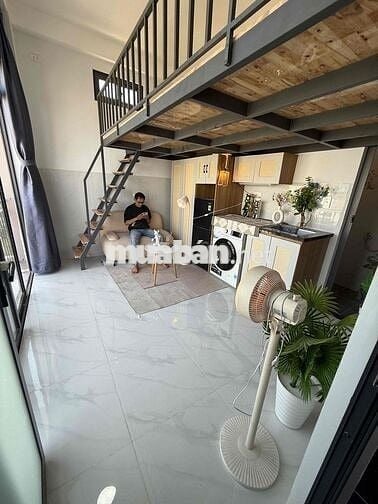 Khai trương p có gác và k gác giữa NTT và IUH, Văn Lang