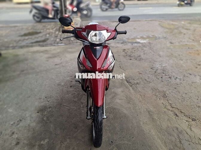 FU NEO HÀN QUỐC .BS 61 CÀ VẸT ĐẦY ĐỦ