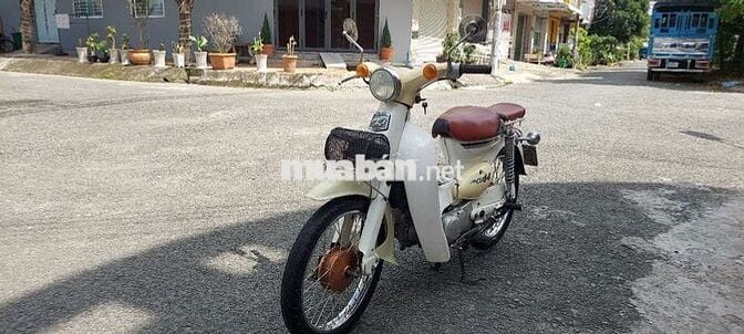 Cúp 50 đời 81 bs65