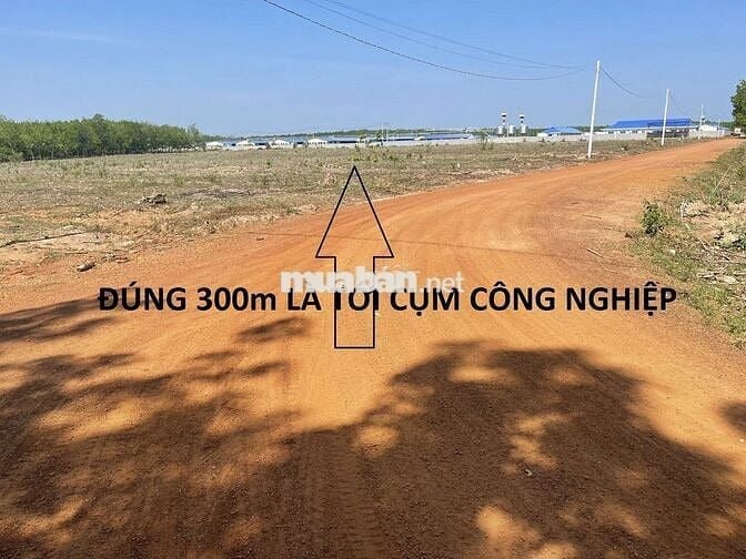 Tách 5 sào, bán lẻ 1 sào 410tr -> bank htro 60%. Cụm Công nghiệp 300m