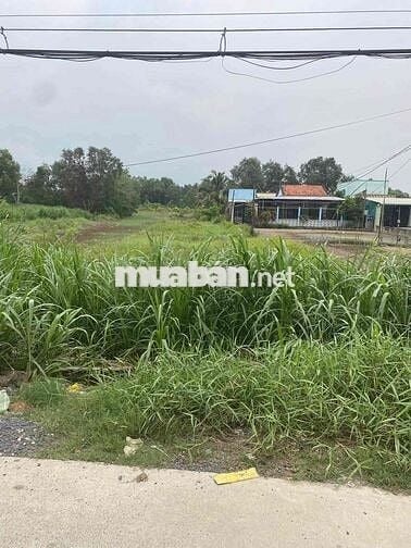 chính chủ cần bán đất mặt tiền đường T12 Bình Chánh