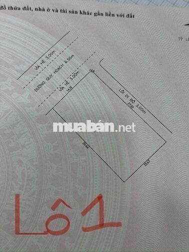 Bán đất biệt thự góc 2MT đường Cầu Đảo Nổi (Khu VIP) - View sông rất