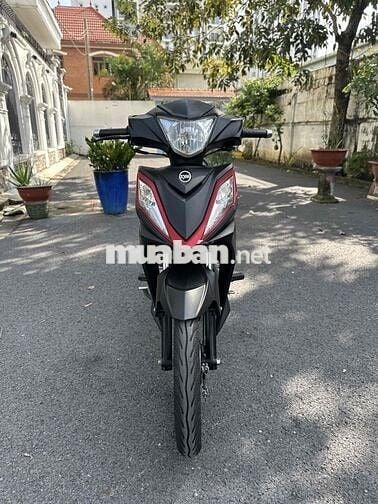 xe 50 cho học sinh