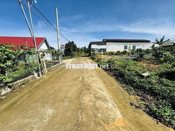 ⭐ĐẤT THỔ CƯ KỀ SÂN BAY LONG THÀNH ĐỐI DIỆN KCN 1000HA, 266M² CHỈ 750TR