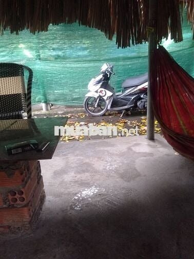 Xem xe. bình dương vòng xoay An Phú