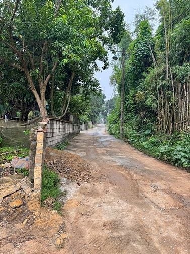 Đất biệt thự 600m2, phường Hà Nội, đường thông ô tô tránh, 15,5tr/m2