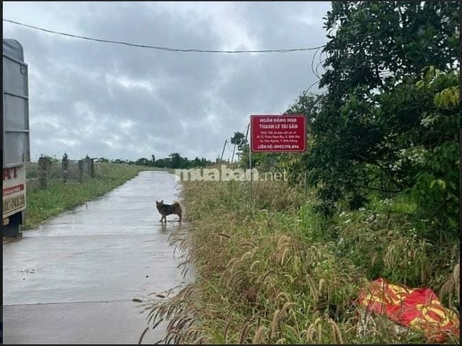 Bán đất tại Thôn Nam Rạ, xã Đắk Nia, tp Gia Nghĩa, tỉnh Đắk Nông