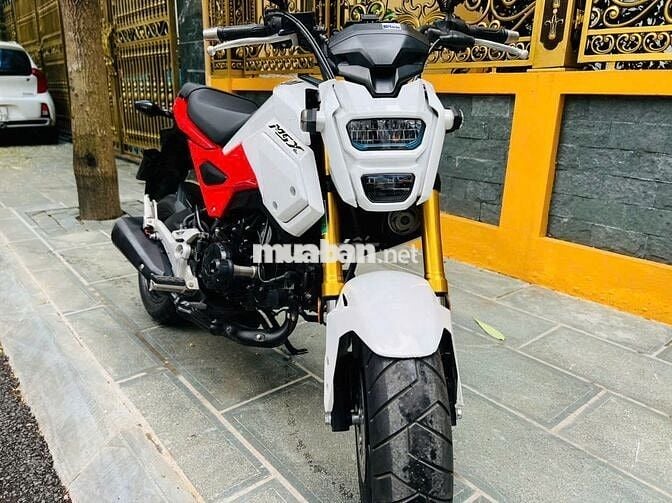Honda MSX Trắng Đỏ nguyên bản