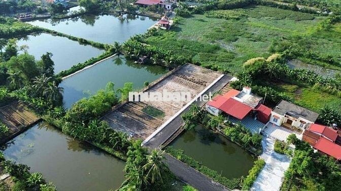 Bán Đất Mặt Đường Nhựa An Thọ An Lão 8xx triệu