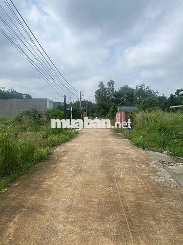 Chính chủ bán đất sổ sẵn 270m2, Lai Hưng, Bàu Bàng, ngay KCN Mỹ Phước