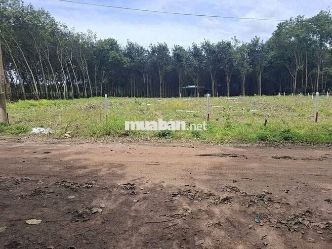 Có Lô Đất Mặt Tiền Đường Đất Cần Bán