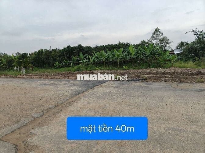 BÁN 2000M2 ĐẤT LÚA KHU TIỀM NĂNG MỚI